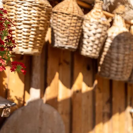 Ferienbauernhof Berlinger مزرعة للإقامة Au (Bregenz)