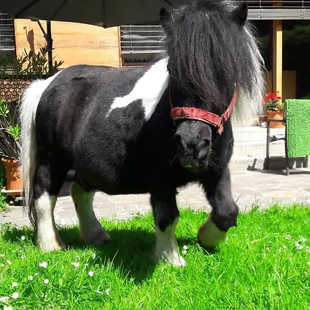 Ferienbauernhof Berlinger Au (Bregenz)