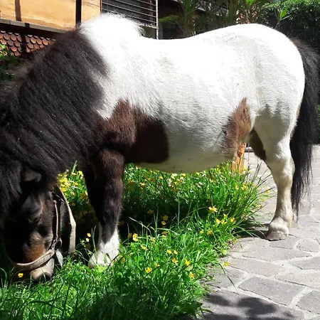 Ferienbauernhof Berlinger Au (Bregenz)