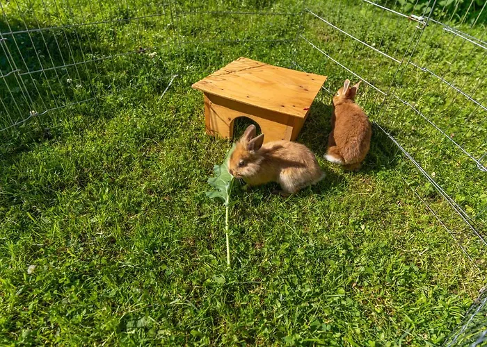 Ferienbauernhof Berlinger Vakantieboerderij Au (Bregenz)